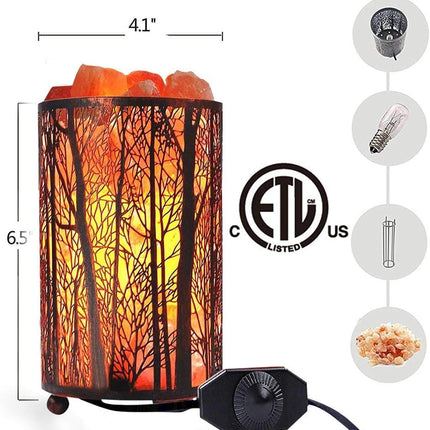 Salt Lamps, Natural Himalayan Salt Lamp, Forest Salt Lamp with Dimmer Switch, Salt Crystal Night Lights, Retro Metal Basket Decor Desk Lamp with Extra 25W Lamp Bulbs (Retro Red)