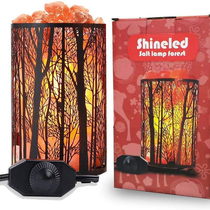 Salt Lamps, Natural Himalayan Salt Lamp, Forest Salt Lamp with Dimmer Switch, Salt Crystal Night Lights, Retro Metal Basket Decor Desk Lamp with Extra 25W Lamp Bulbs (Retro Red)