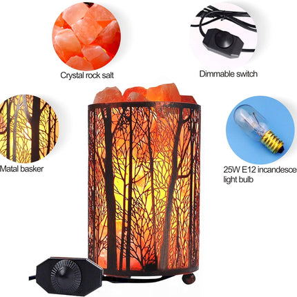 Salt Lamps, Natural Himalayan Salt Lamp, Forest Salt Lamp with Dimmer Switch, Salt Crystal Night Lights, Retro Metal Basket Decor Desk Lamp with Extra 25W Lamp Bulbs (Retro Red)